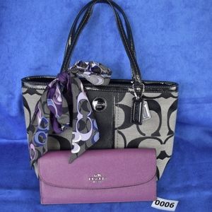 Small Coach tote w/scarf and wallet 006